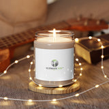 Pure Tranquility: Scented Soy Candle, 9oz - Ultimate You